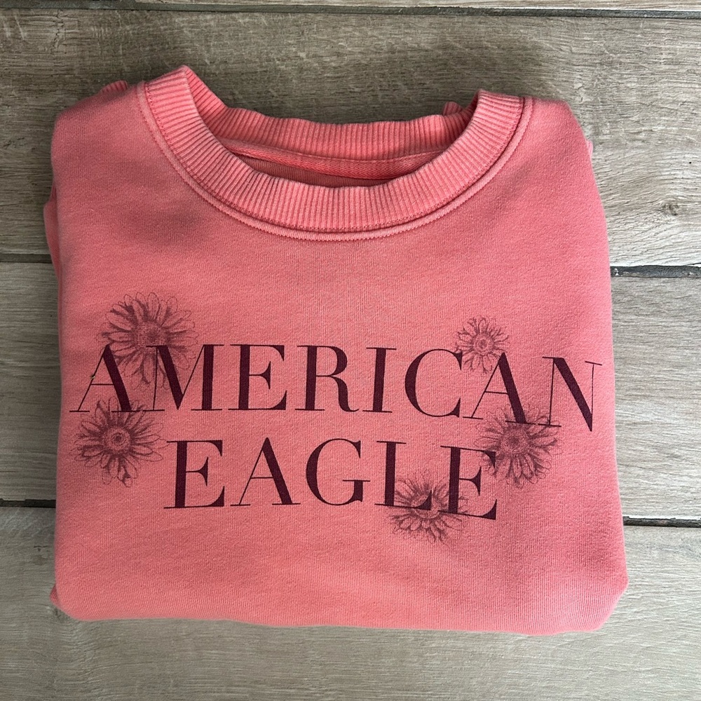 American Eagle Outfitters Coral Crew Neck Sweater